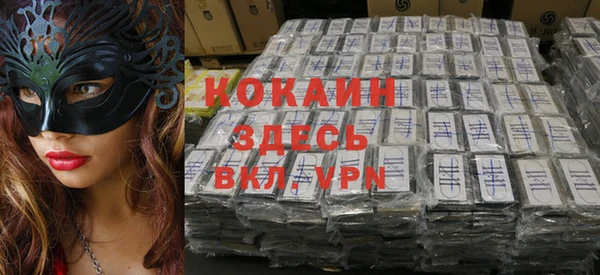 соль курить ск Белокуриха