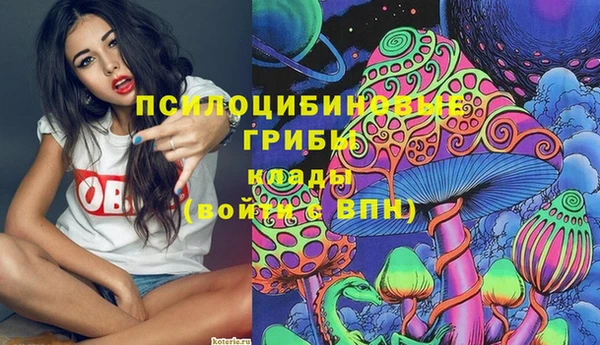 соль курить ск Белокуриха